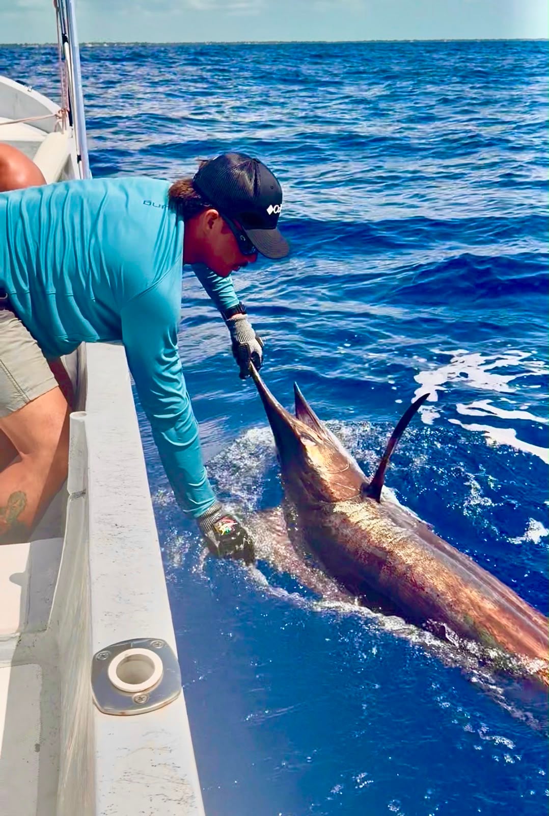 A billfish brought alongside the boat and released off Belize