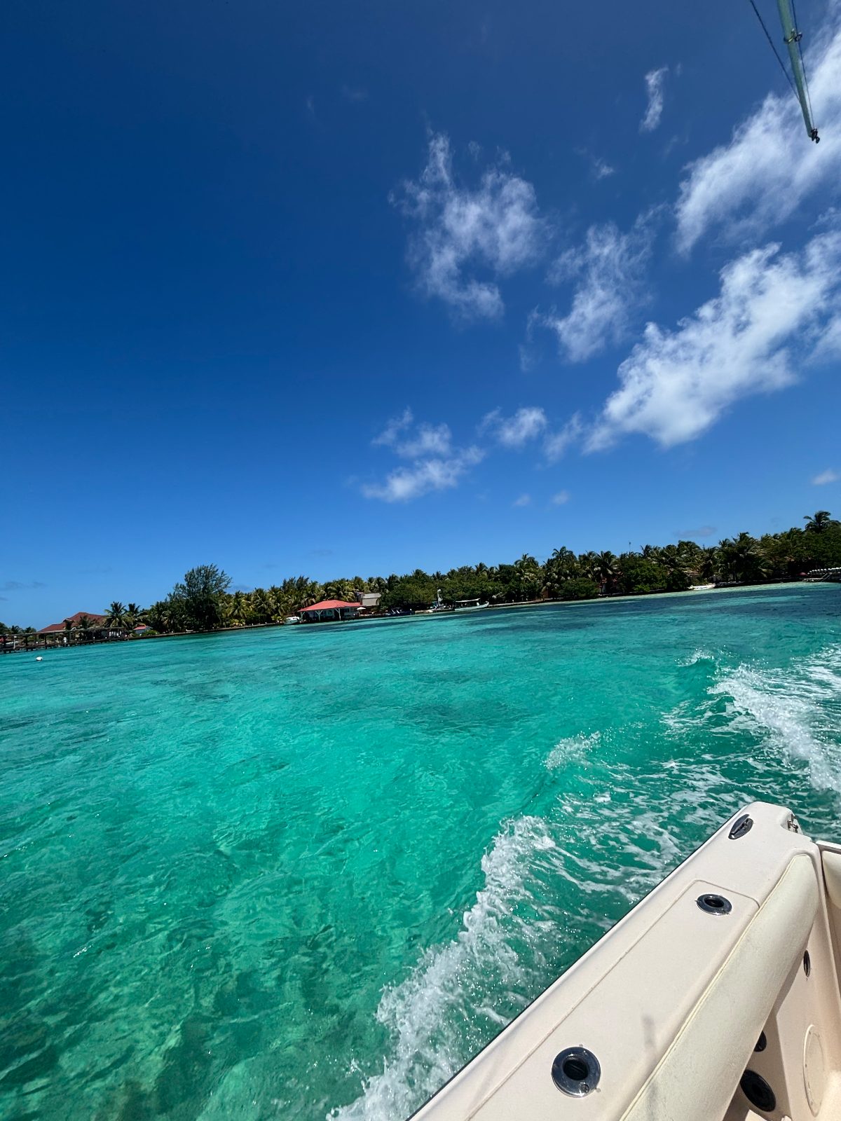 A Belize caye shoreline with clear shallow water and blue sky
