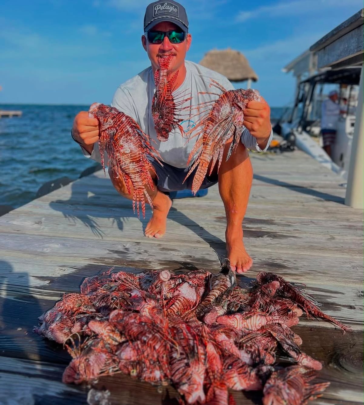 A morning of lionfish laid out on the dock after a cull
