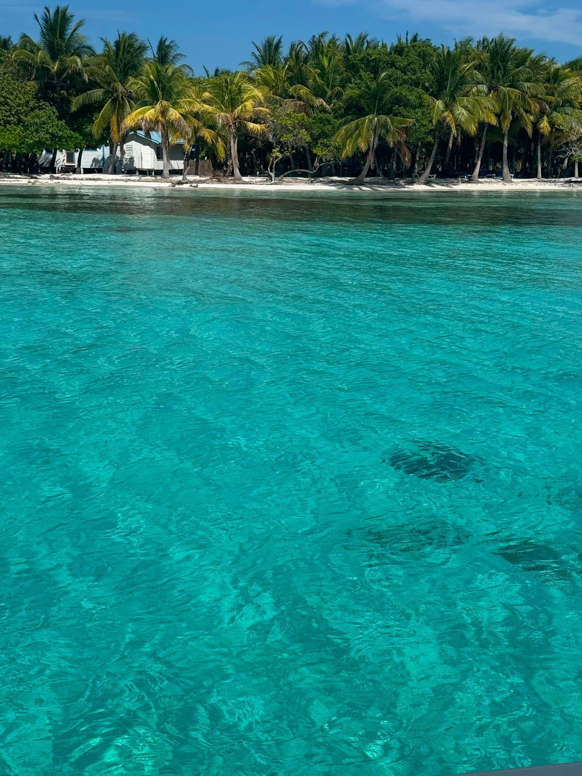 Clear turquoise flats over coral along the Belize coast