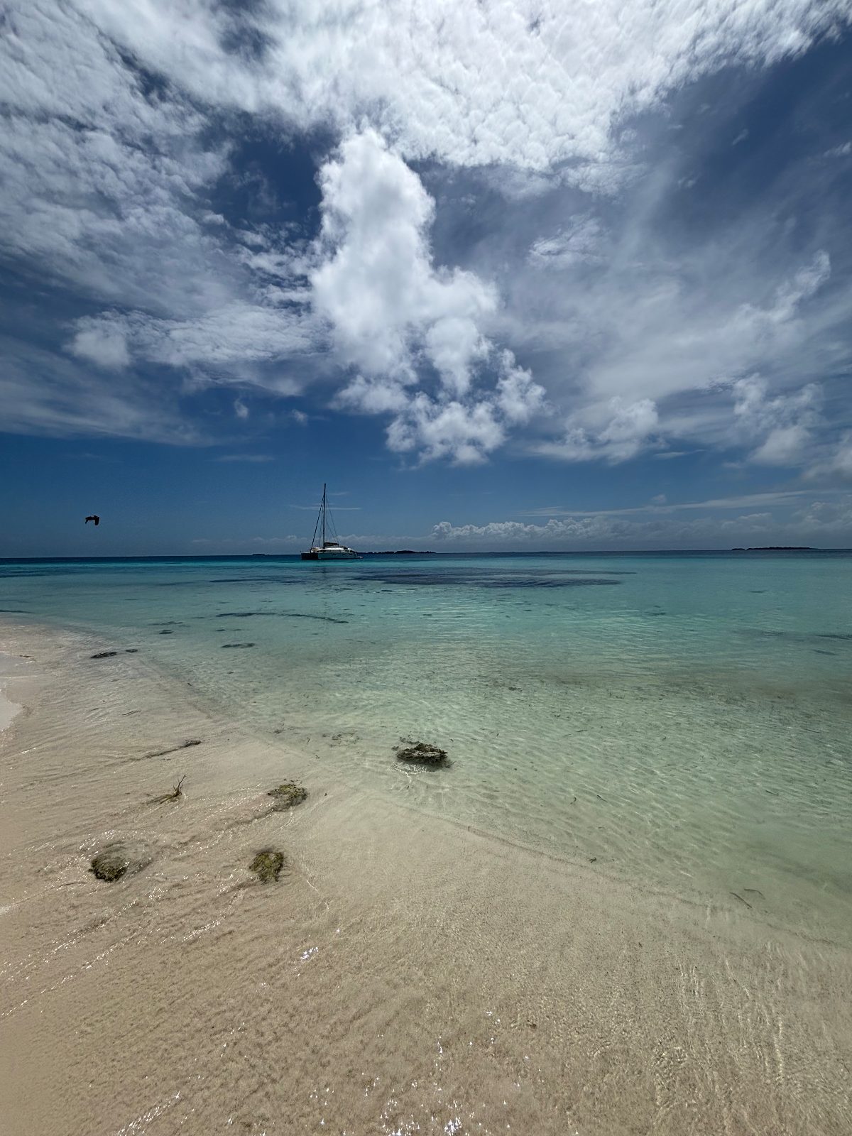 A sailboat anchored off a bright sandbar in shallow water