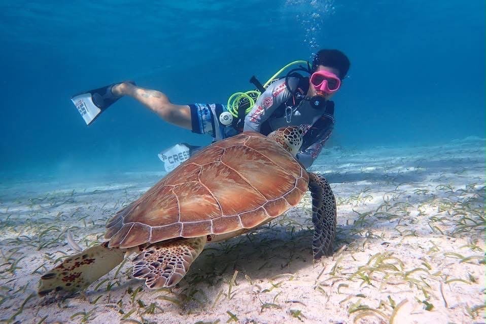A diver swimming alongside a green sea turtle over the seagrass flats